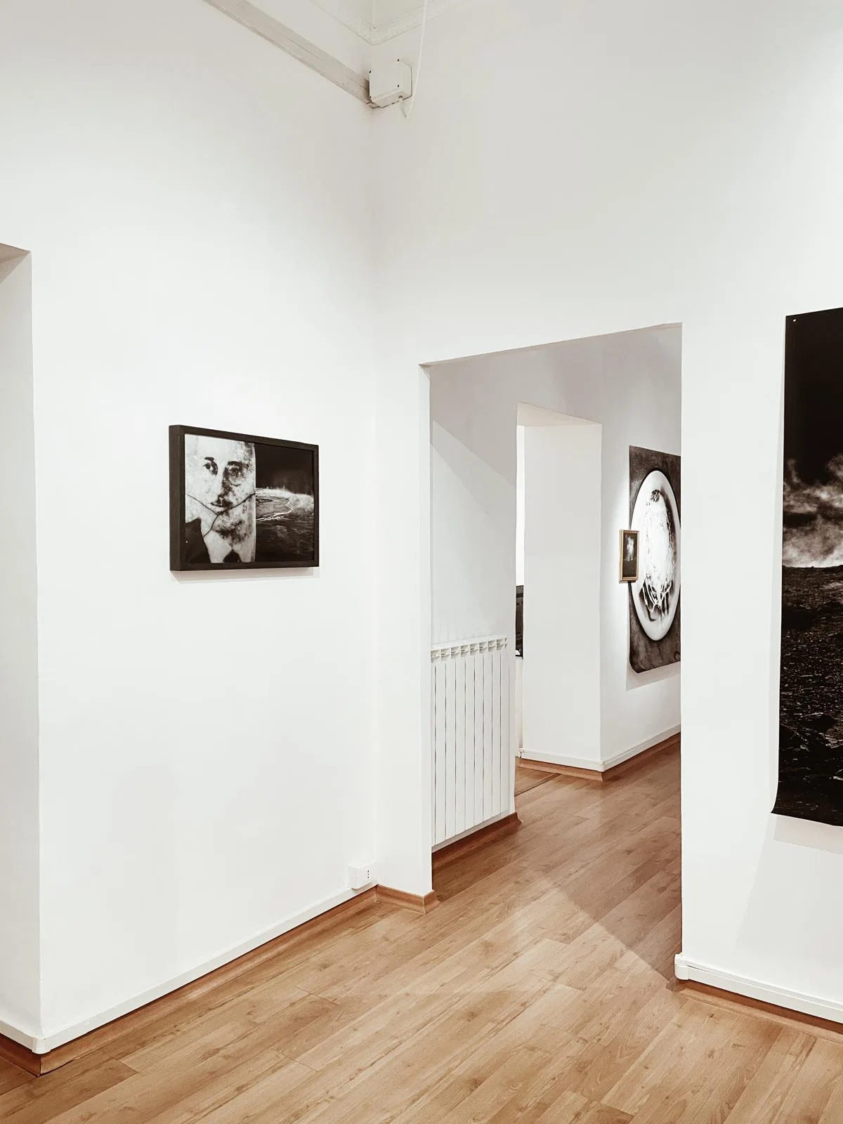 Anima Naturae installation
