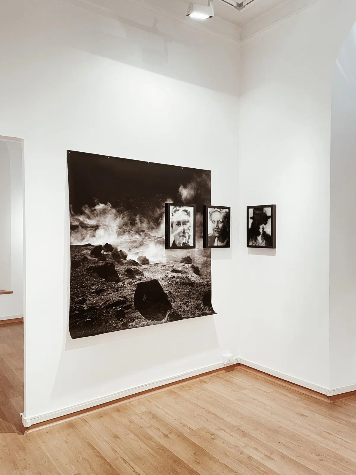 Anima Naturae installation