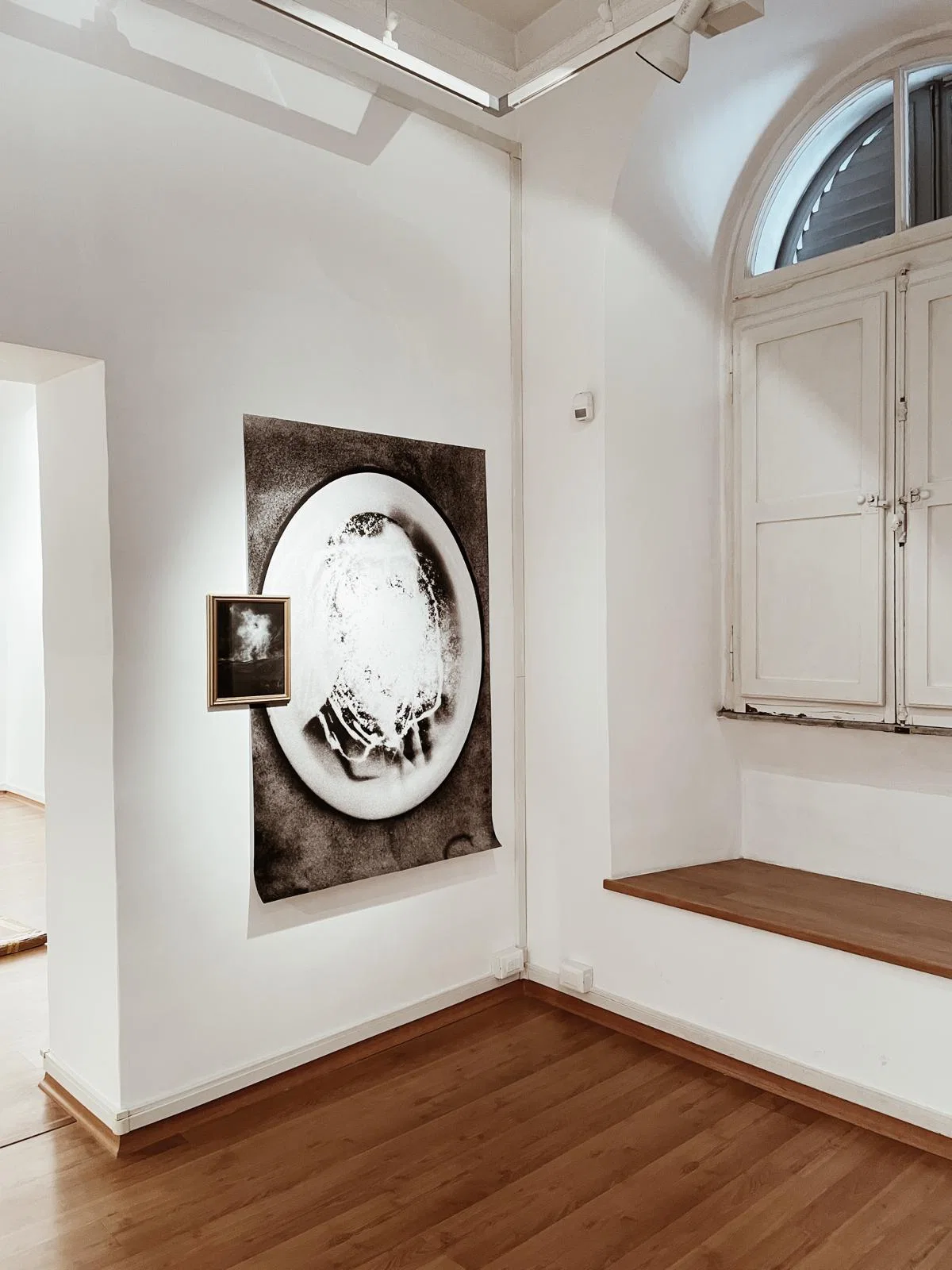 Anima Naturae installation