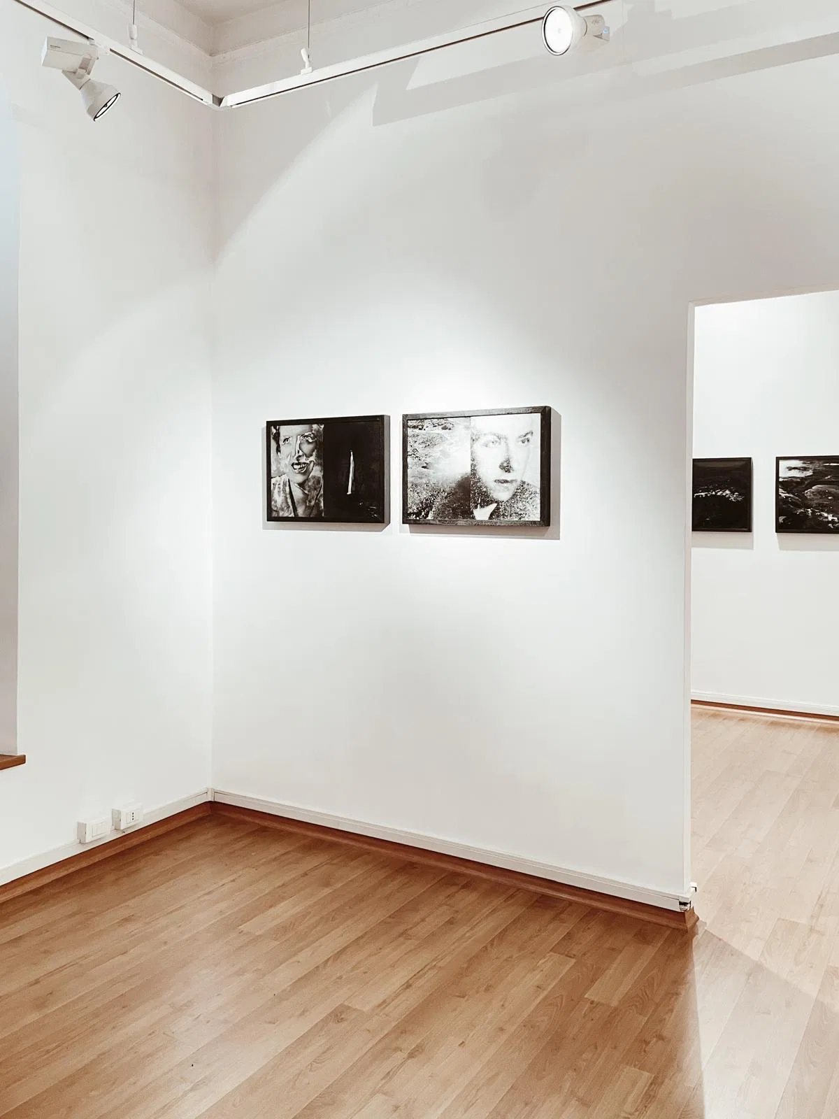 Anima Naturae installation