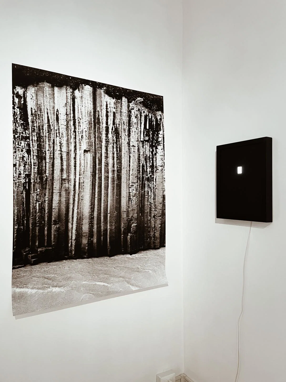 Anima Naturae installation