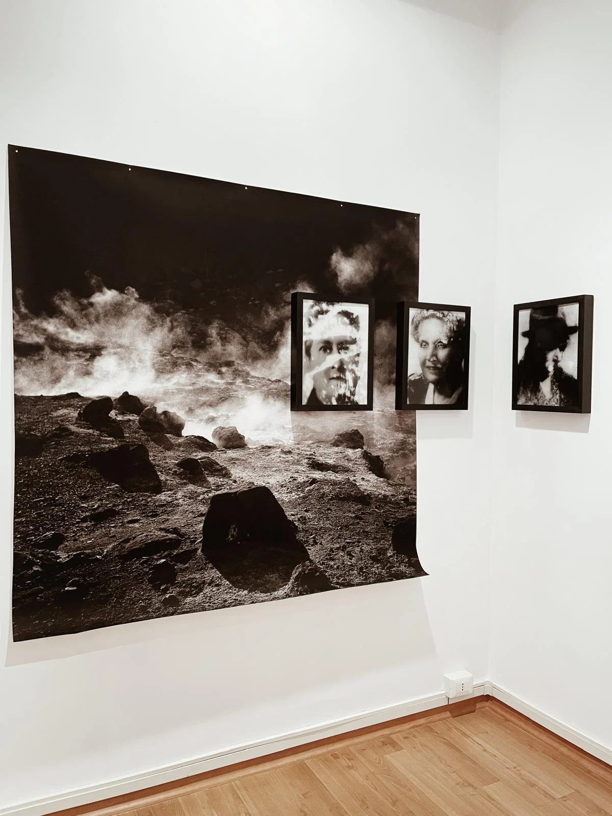 Anima Naturae installation